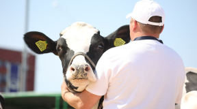 Лысенков: «Временный председатель или ветврач по распределению не знает: его дальше посадят или он пойдет на повышение»