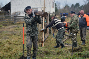 Как чиновники на местах ответили на «жесточайшее» распоряжение «навести порядок к 7 ноября»
