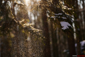 Зима, как в детстве. Мороз, солнце и много снега