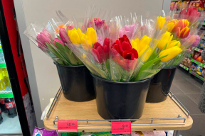 Фотофакт. Почем тюльпаны в Минске перед 8 марта