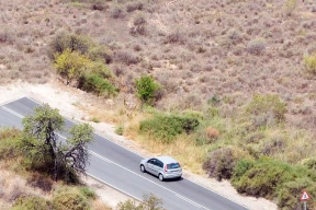 «Европейцы понимают, что разговаривать с Лукашенко не о чем»